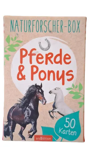 ARSEDITION Kartenspiel