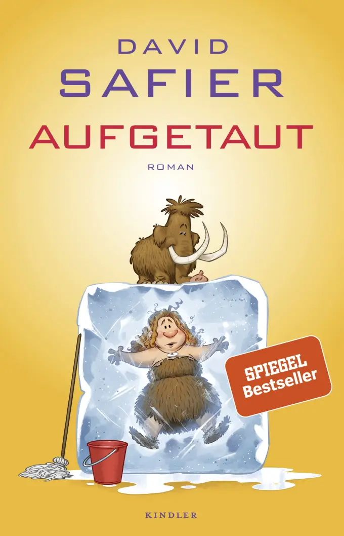 Gesellschaftsroman Bild 1