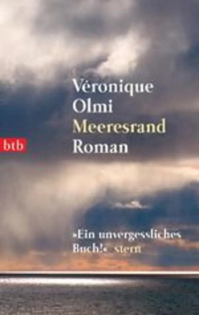 Gesellschaftsroman Bild 1