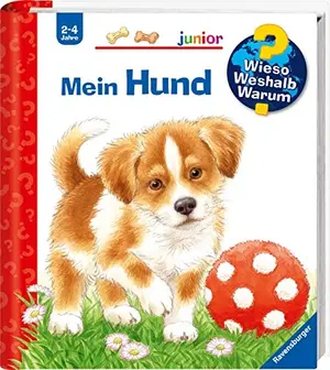 Buch für Kinder