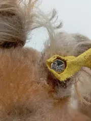 Vorschaubild STEIFF Kuscheltier 2