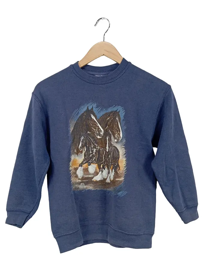 FRUIT OF THE LOOM Sweatshirt Bild 1