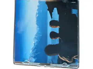 Indie und Alternative Musik