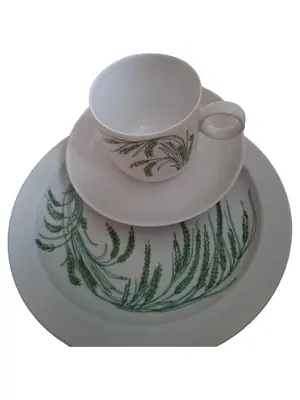 ROSENTHAL Tasse und Unterteller