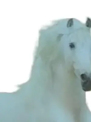 Buch für Jugendliche