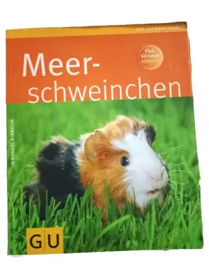 Hobbybuch