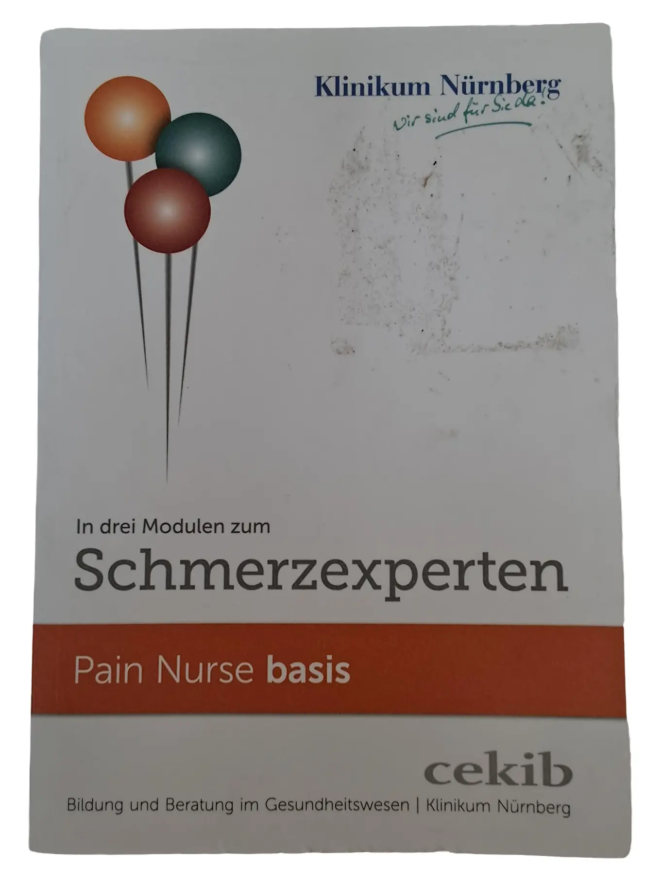 Schmerzmanagement Fachbuch Pain Nurse Ausbildung Medizin Pflege cekib