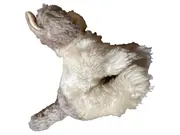 Vorschaubild 1 von Cosy Kitty Kuscheltier Katze Plüschtier Beige Charmant 13cm