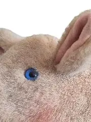 Vorschaubild 3 von Kuscheltier Schwein Stofftier Plüschtier Beige 15 cm