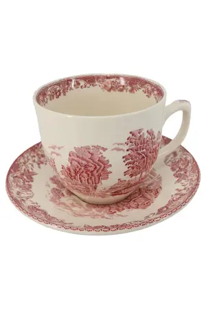 ROYAL TUDOR WARE Tasse und Unterteller