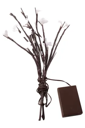 W-AZLRW9 Lichterkette