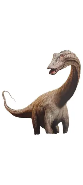 SPEKTRUM DER WISSENSCHAFT Zeitschrift