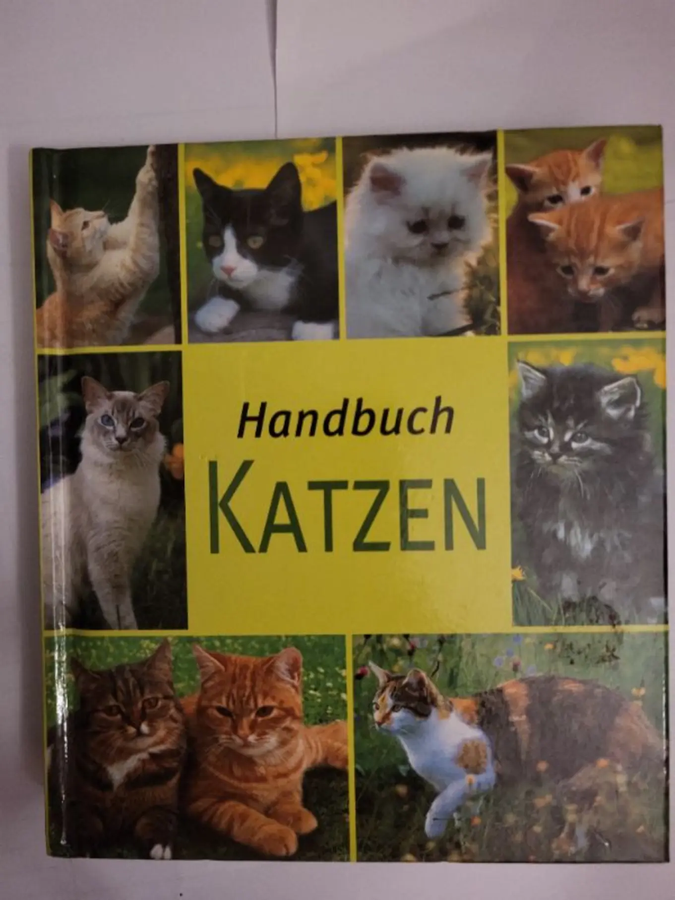 Katzenbuch Hardcover Ratgeber Tierpflege Haustier Hund Katze