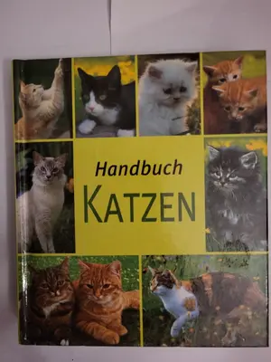 Hobbybuch