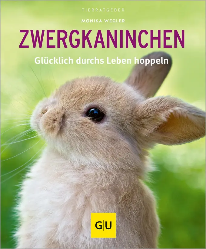 Hobbybuch Bild 1