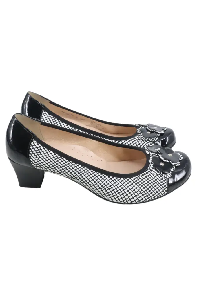 ALPINA Pumps Bild 1