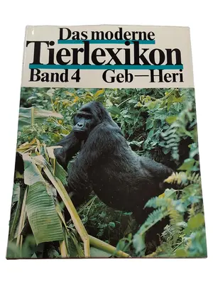 Allgemeines Sachbuch