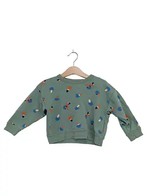 PETIT BATEAU Pullover