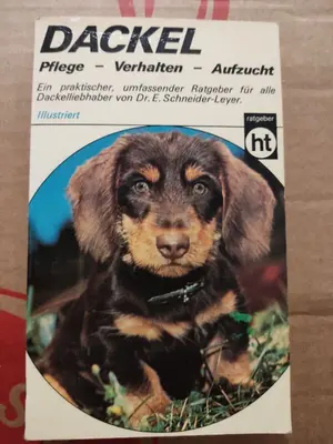 Ratgeber für Gesundheit