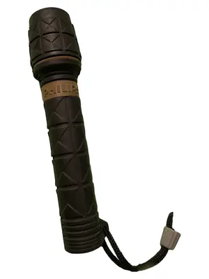 PHILIPS Taschenlampe