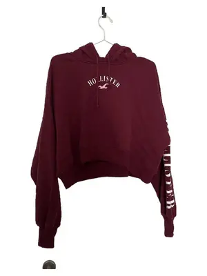 HOLLISTER Kapuzenpullover