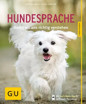 Allgemeines Sachbuch