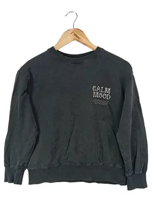 ZARA Sweatshirt