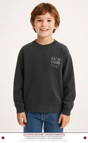 ZARA Sweatshirt