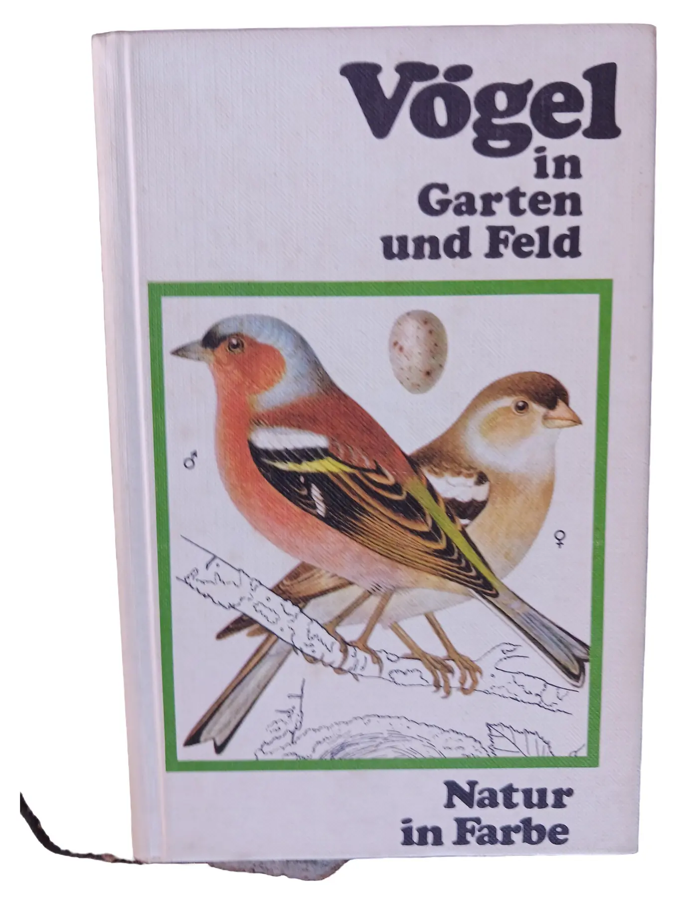 Vogelbestimmungsbuch: Vögel Garten Feld - Fachbuch Biologie mit Farbbildern