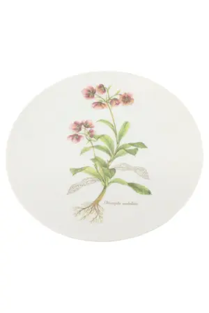 SCHWARZENHAMMER Sammelteller