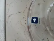 Vorschaubild 2 von Platzteller Teller Glas Transparent Modern