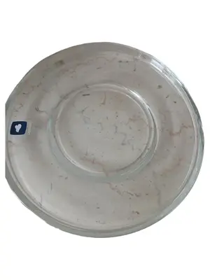 LEONARDO Platzteller