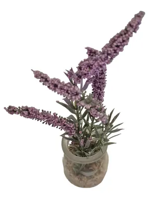 CONCORD Künstliche Pflanze