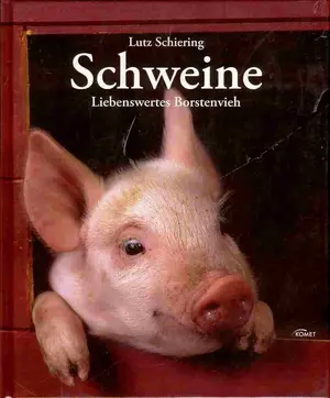 Allgemeines Sachbuch