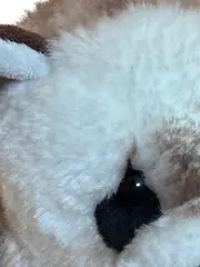 Vorschaubild 3 von Schmusetuch Waschbär meliert beige Kinder Baby Kuscheltuch