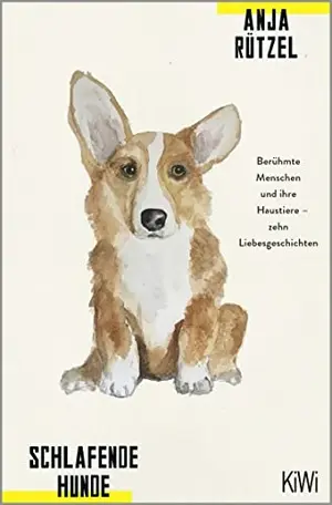 Allgemeines Sachbuch