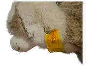 Vorschaubild 2 von Stofftier Hund Kuscheltier Braun Weiß mit Knopf im Ohr