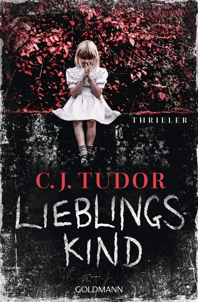 Thrillerbuch Bild 1