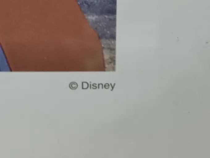 DISNEY Bild Bild 2
