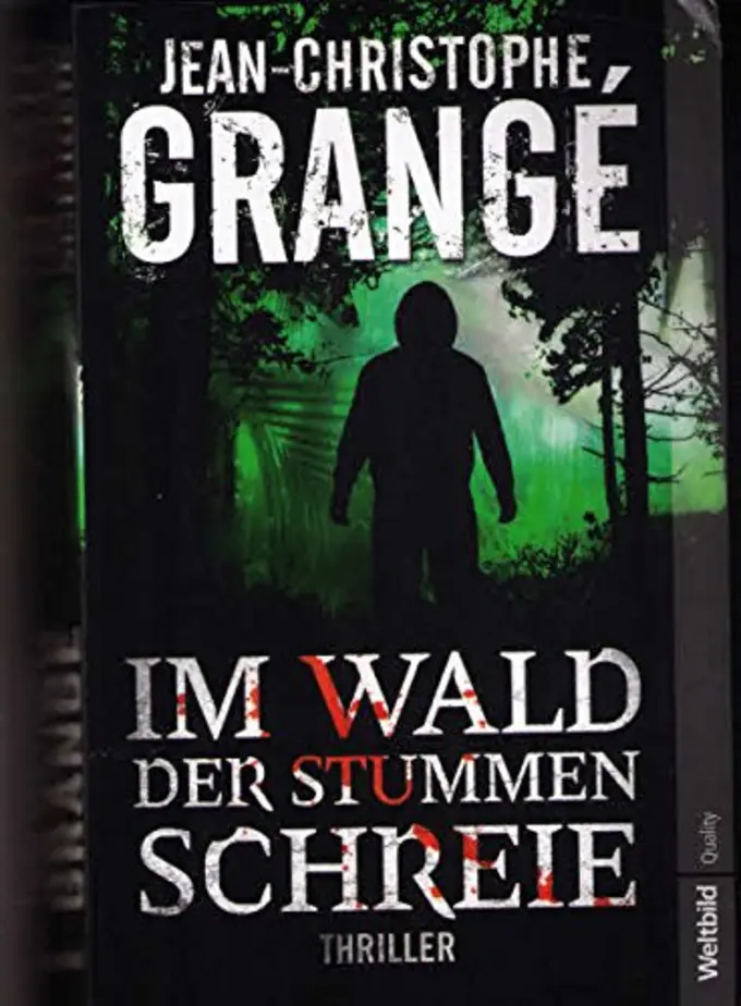 Thrillerbuch Bild 1