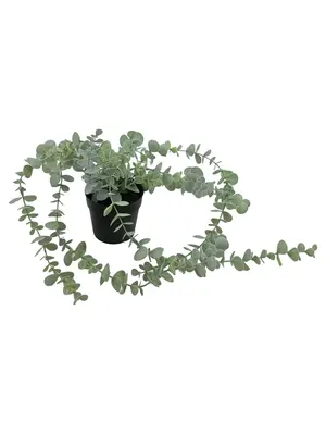 IKEA Künstliche Pflanze