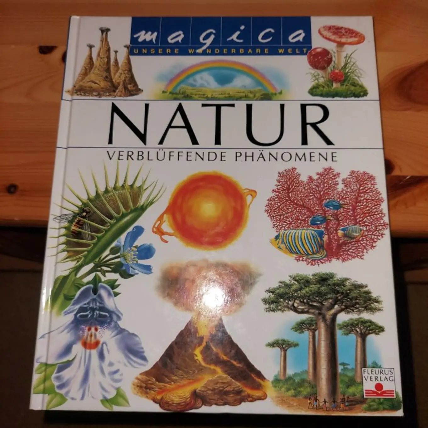 Wieso Weshalb Warum Natur Phänomene Tiere Kinderbuch Hardcover Deutsch