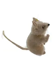 Vorschaubild 2 von Kuscheltier Maus Beige Nostalgisch Vintage Sammlerstück