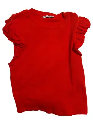 ZARA Top