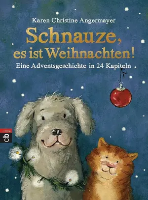 Weihnachtsbuch