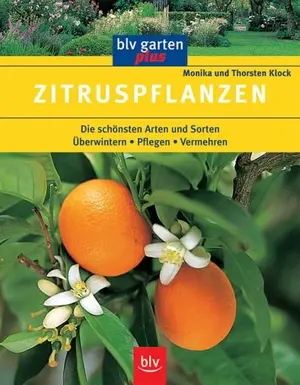 Hobbybuch