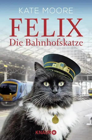 Allgemeines Sachbuch