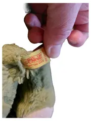 Vorschaubild 2 von Kuscheltier Nilpferd 5517, 35 Grün Plüschtier Stofftier 19cm