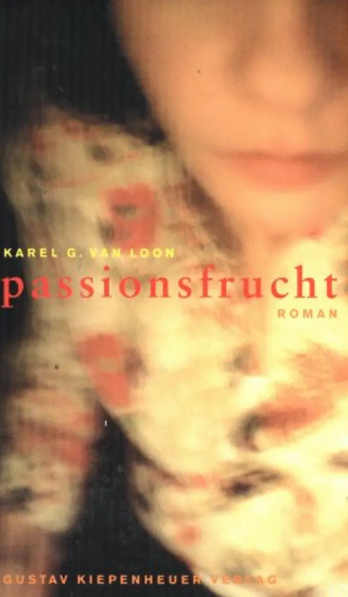 Gesellschaftsroman Bild 1