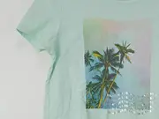 Vorschaubild 4 von Damen T-Shirt Gr. 34/XS Grün Casual Palmen Print